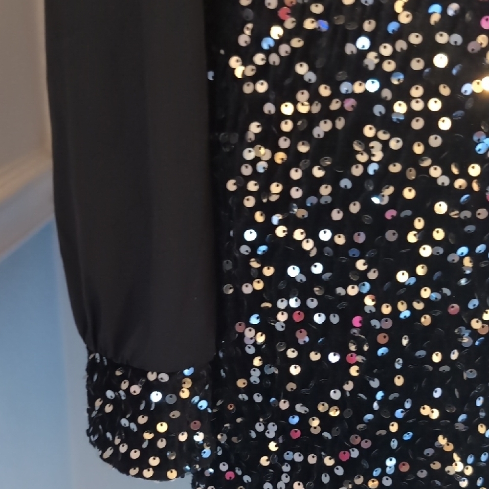 Black Sequin Dress with Long Sleeves - Picture 4 of 5
